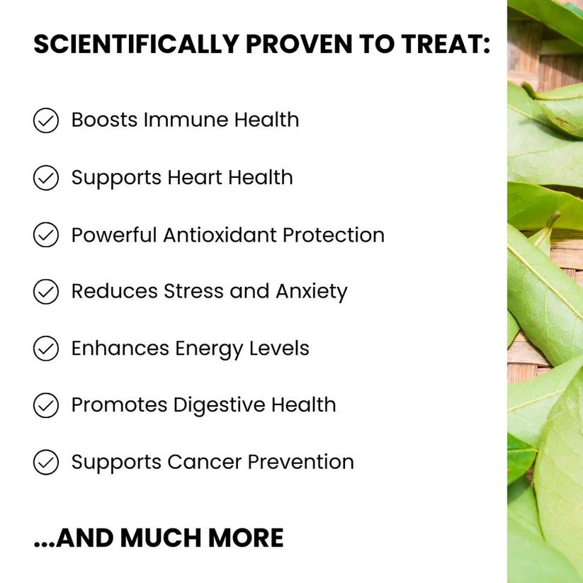 100% Organic Soursop Leaf Tea