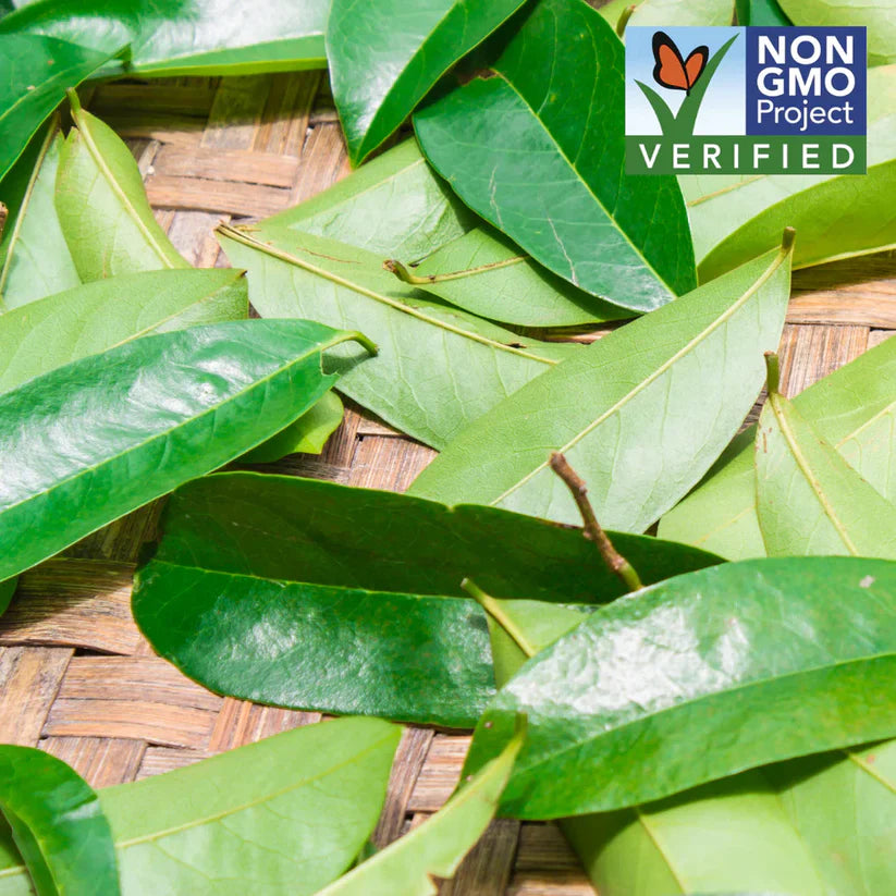 100% Organic Soursop Leaf Tea